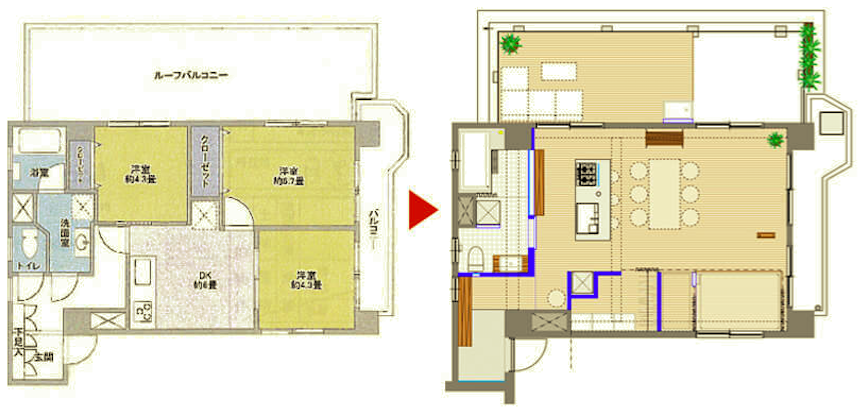 ルーフバルコニーをリビングにしたリノベーション事例図面