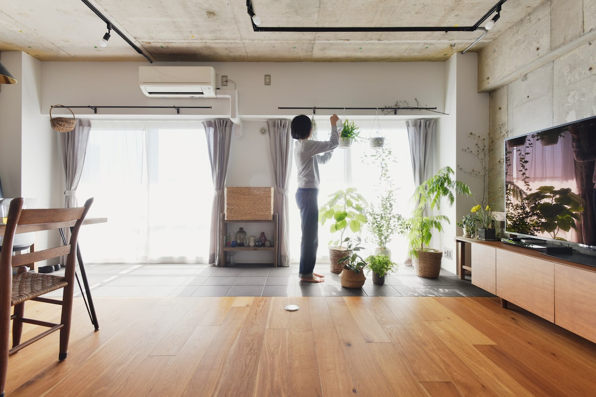 植物を楽しむリノベーション事例