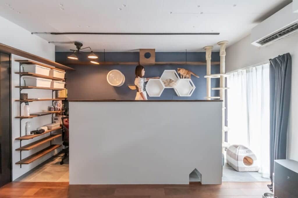 にゃんフロアのある家