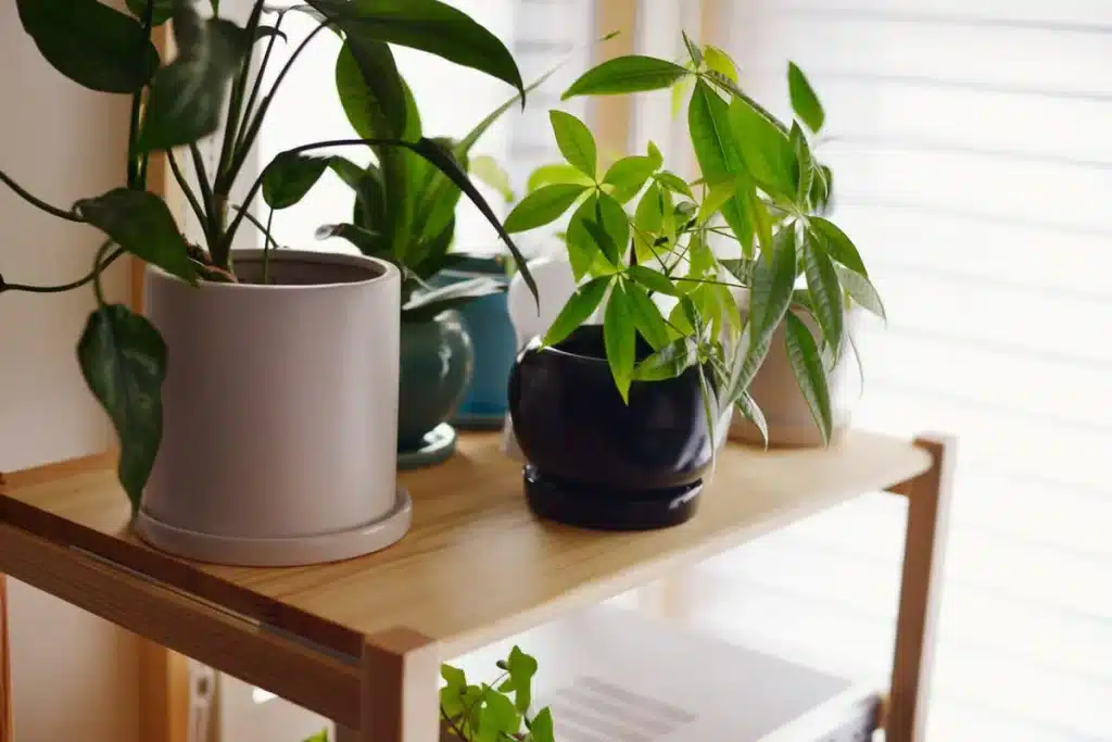 “ちょっとゆとりのある日々”は経済的な余白も生み出す