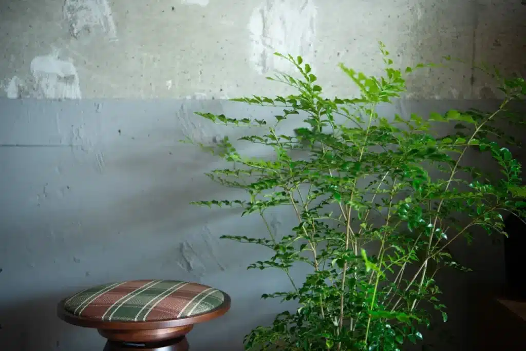 中古メゾネットマンションのデメリットと、リノベで解消できるポイント