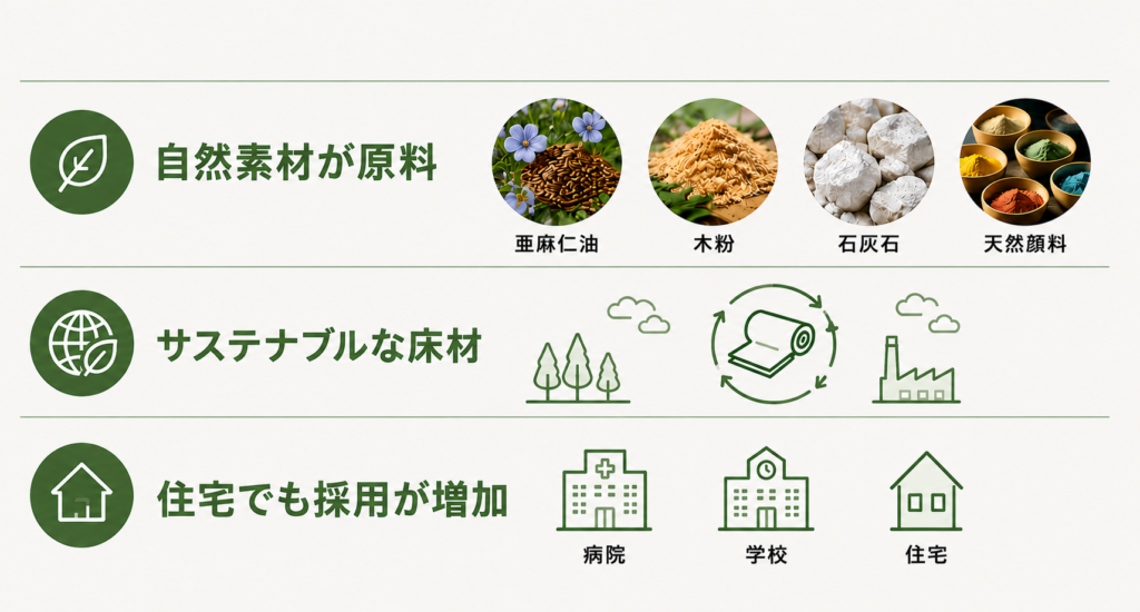 リノリウムとは？